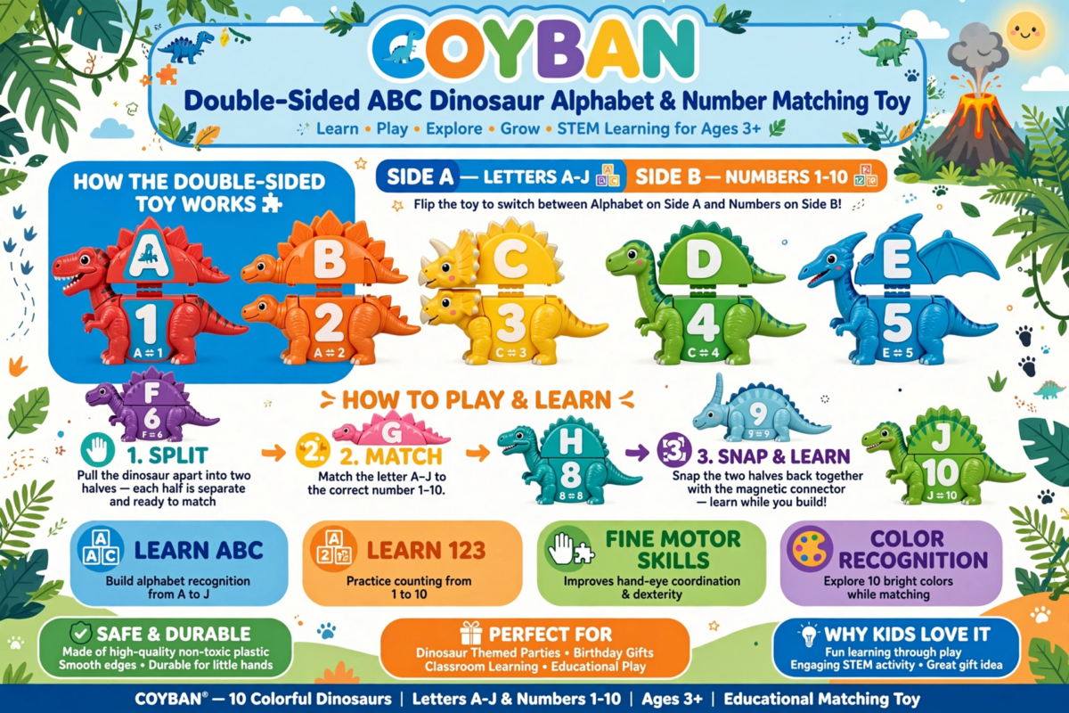 Coyban Double-Sided ABC Dinosaur Alphabet and Number Matching Toy | Educational Letter Recognition and Counting Activity, Plastic, Multicolor, Ideal for Dinosaur Themed Parties and Gifts 2 Infographic explaining how the Dinosaur Alphabet and Number Matching Toy works with double sided pieces